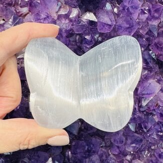 Selenite (Satin Spar Gypsum) Butterflies Butterfly 3"