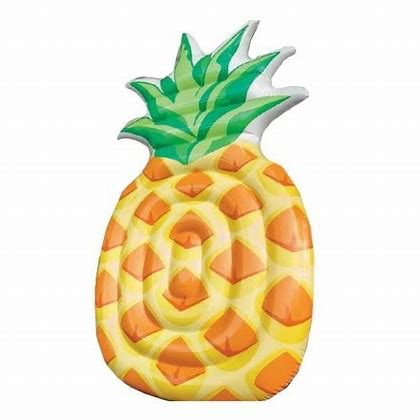 intex pineapple mat