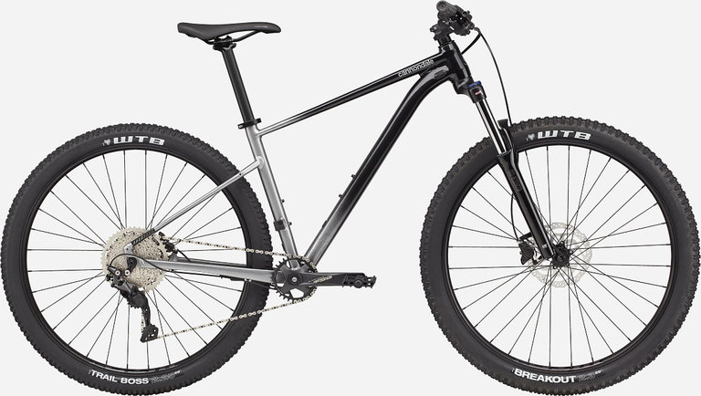 Cannondale 29 M Trail SE 4 GRY LG