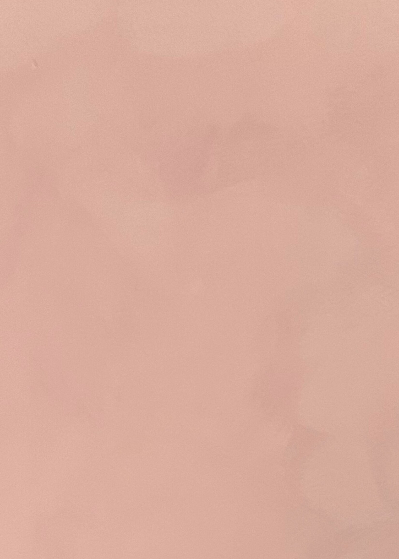 Painted Earth Limewash - Byron Blush