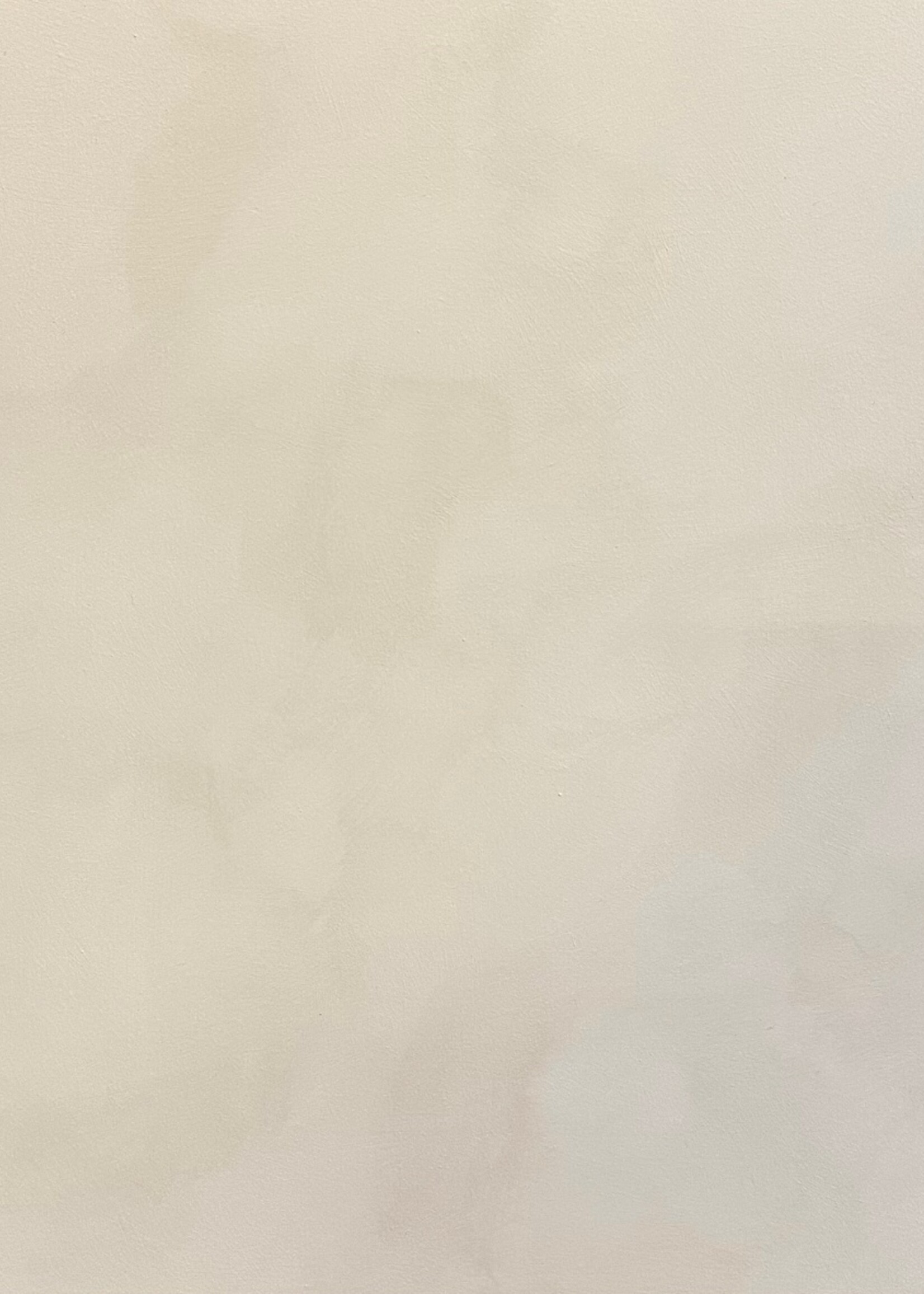 Painted Earth Limewash - Crushed Macadamia