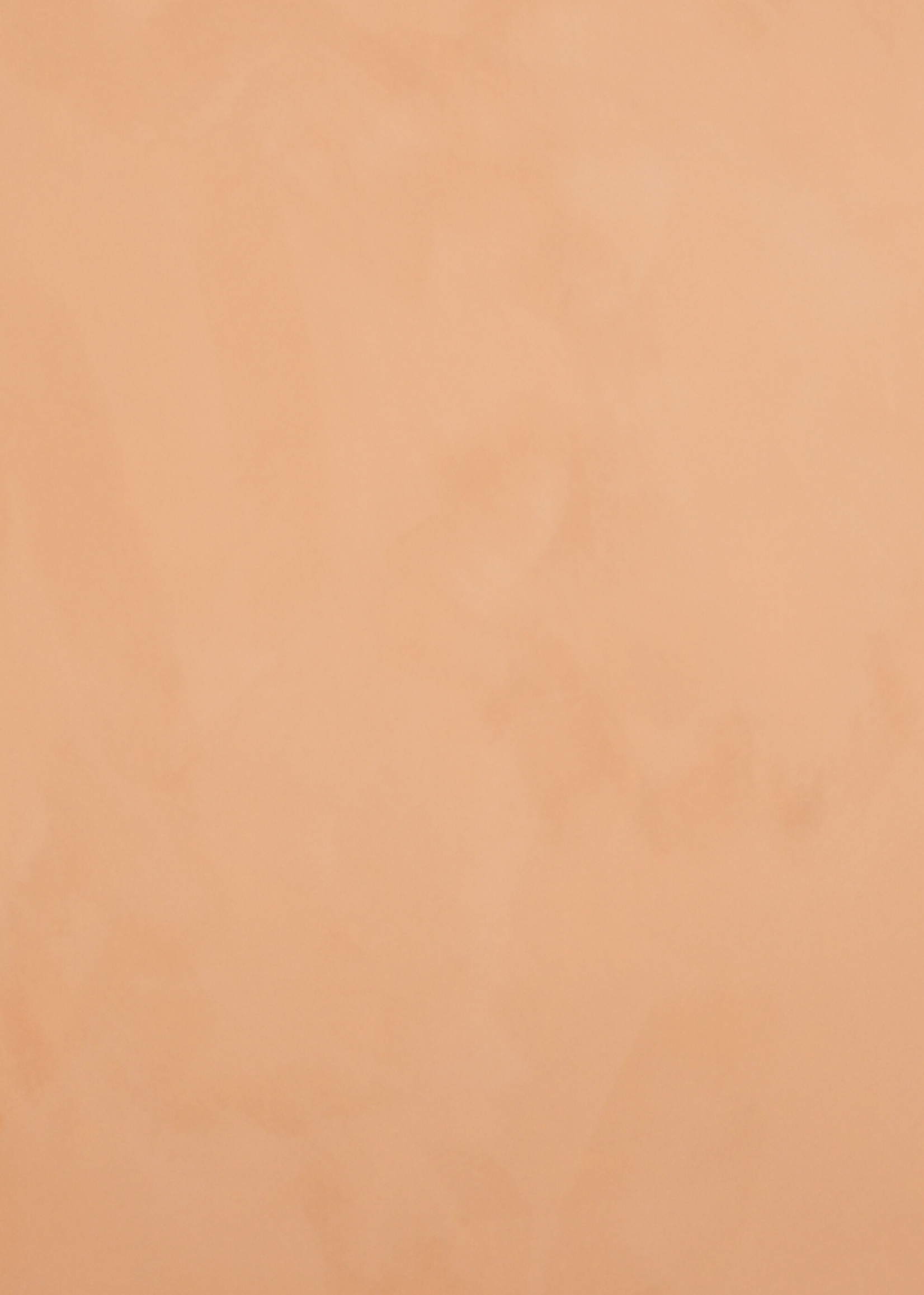 Painted Earth Limewash - Sunkissed