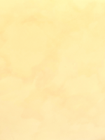 Painted Earth Limewash - Liquid Sunshine