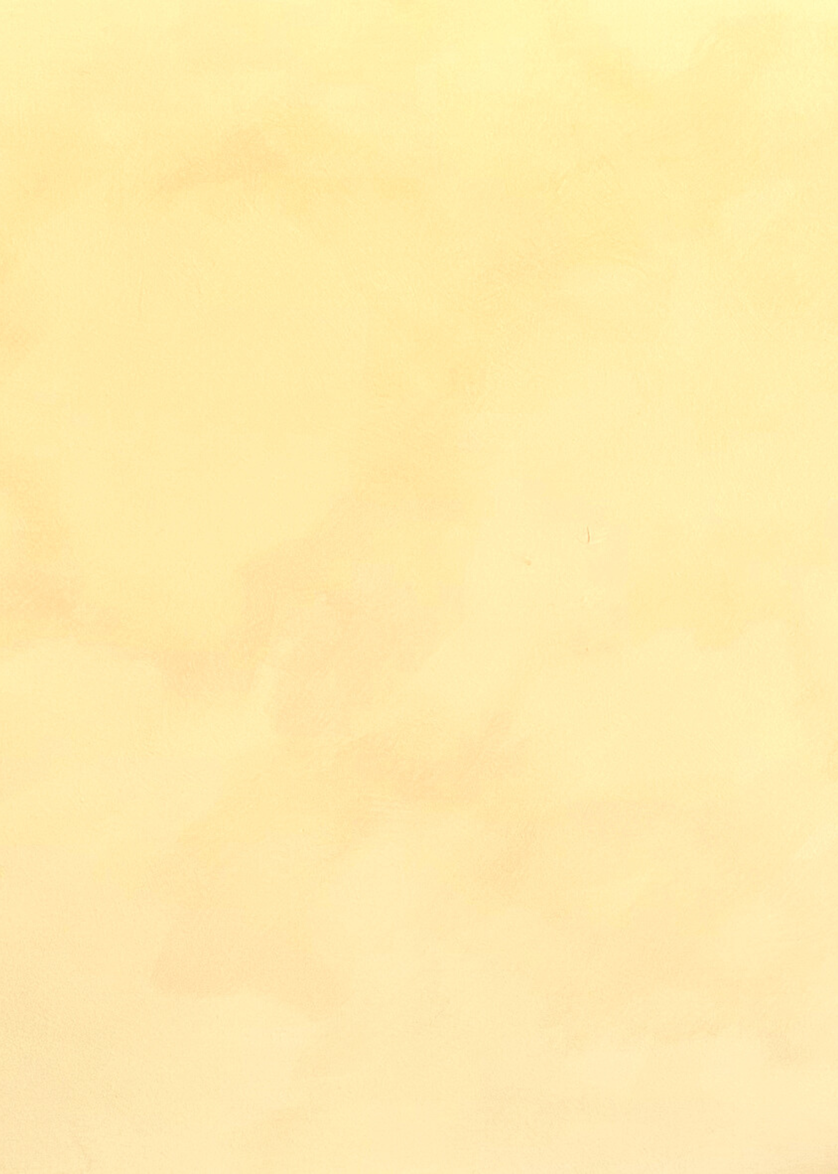 Painted Earth Limewash - Liquid Sunshine