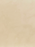 Painted Earth Limewash - Coolangatta Gold