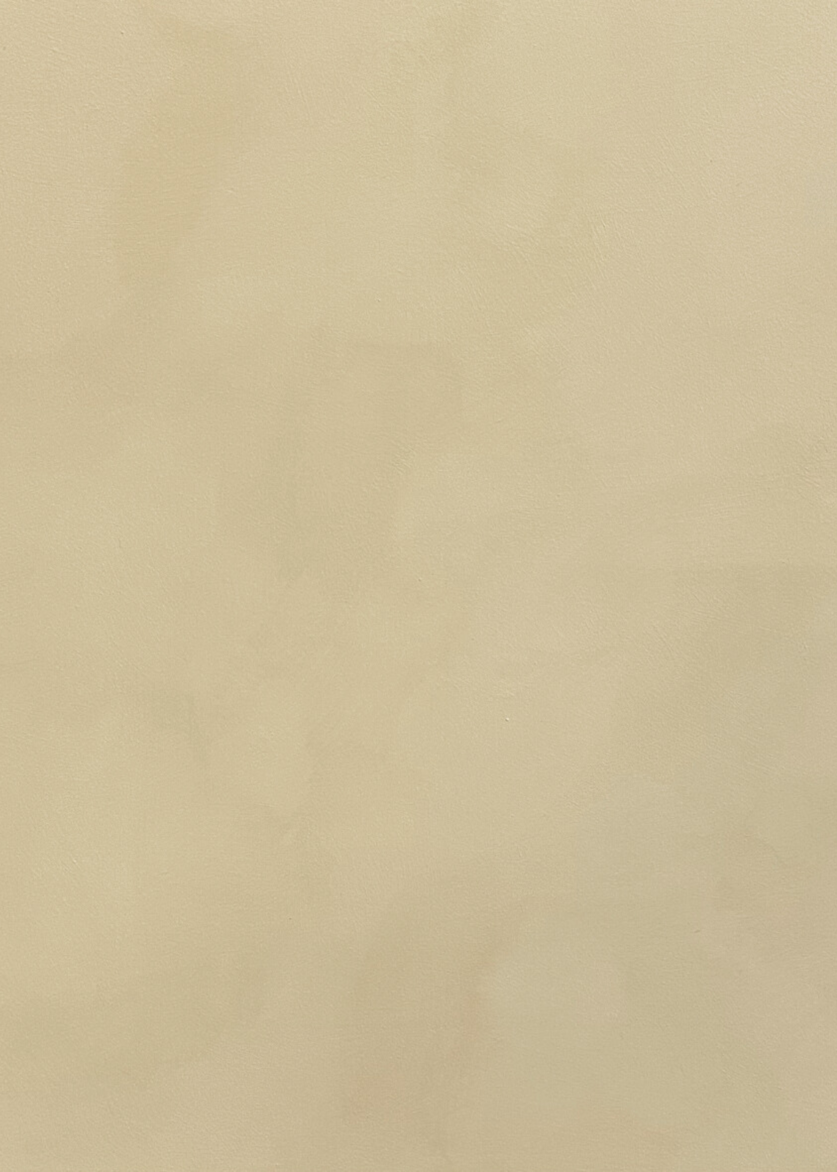 Painted Earth Limewash - Burleigh