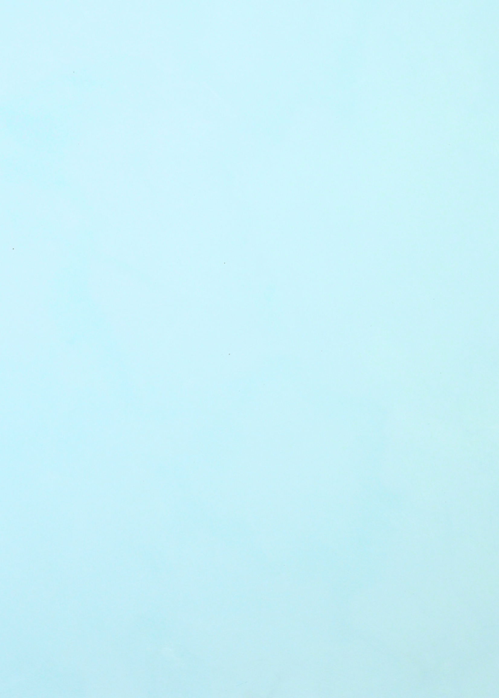 Painted Earth Limewash - Skyline