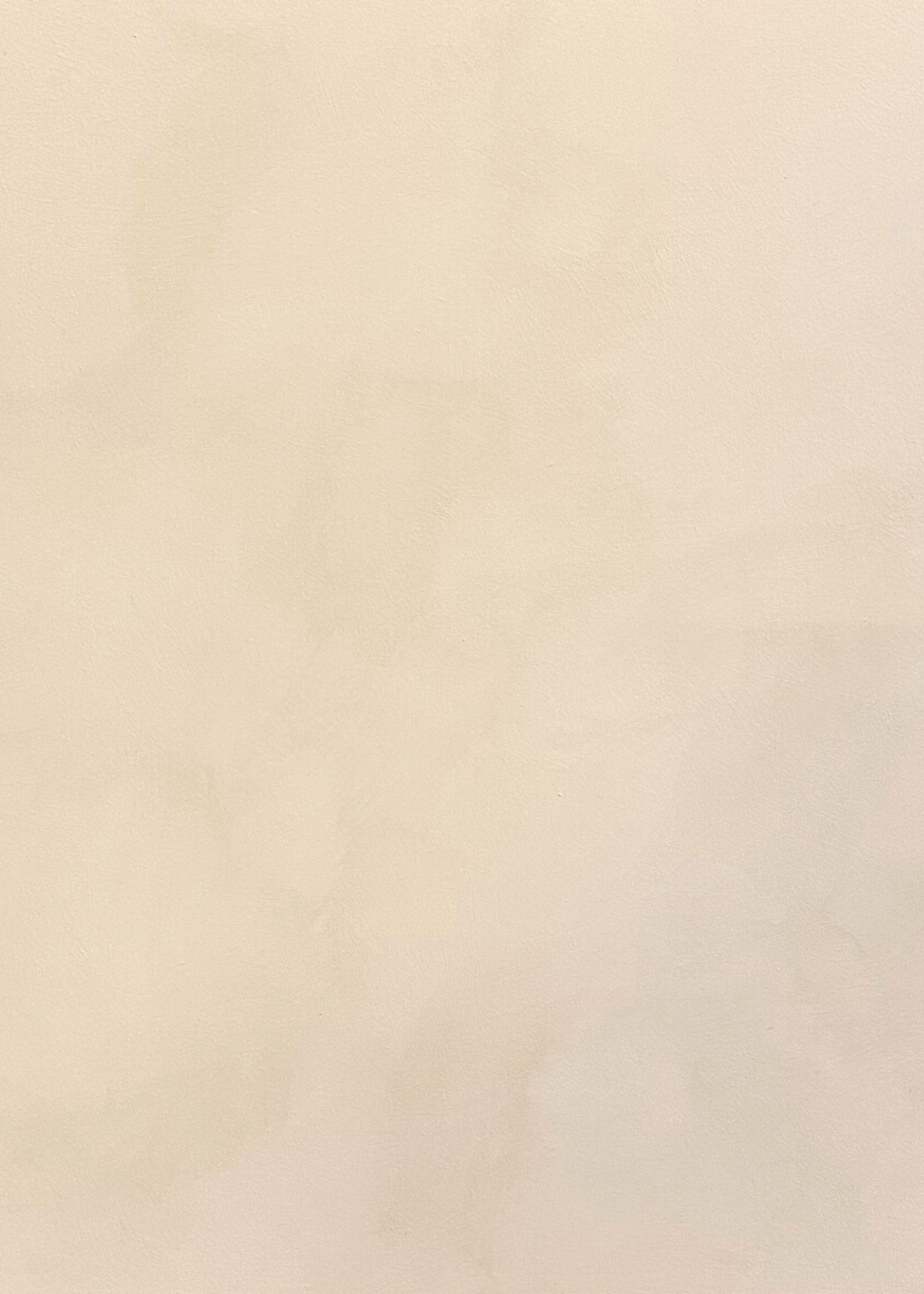 Painted Earth Limewash - Burleigh