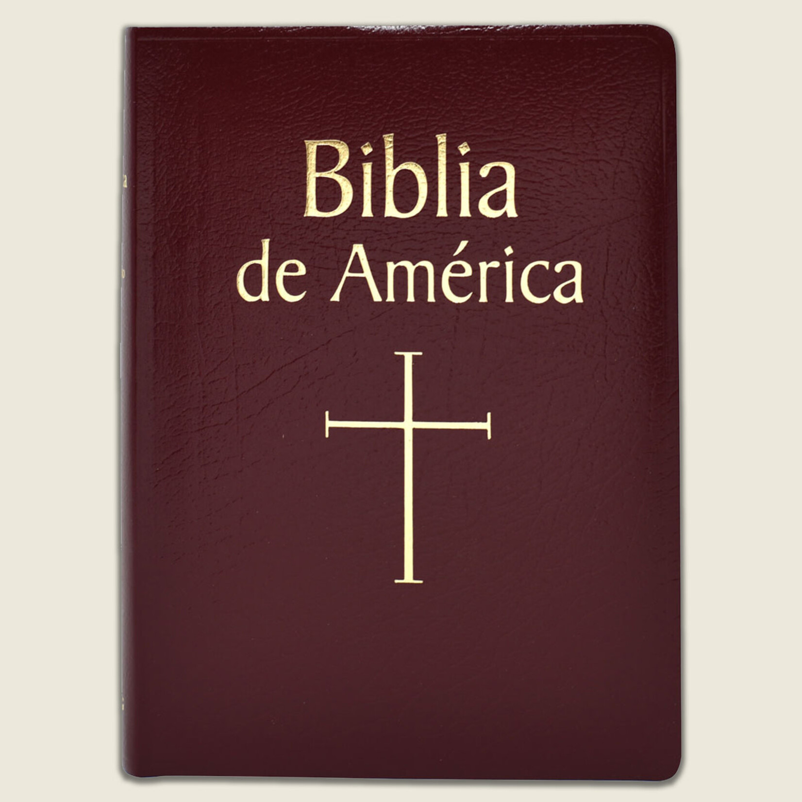 Biblia De America