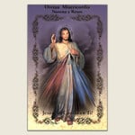Divine Mercy Novena Book (Spanish)