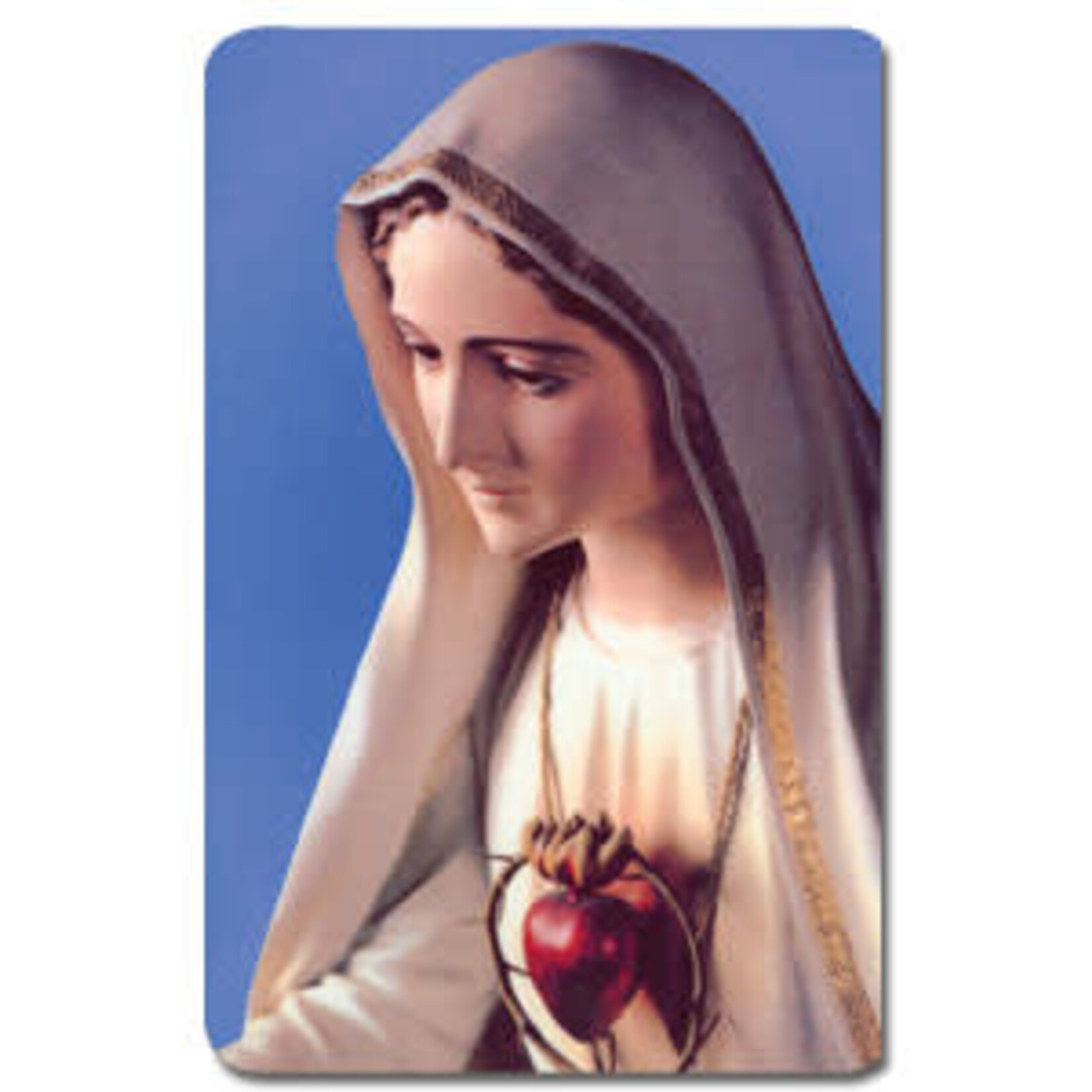 Immaculate Heart Of Mary Magnet