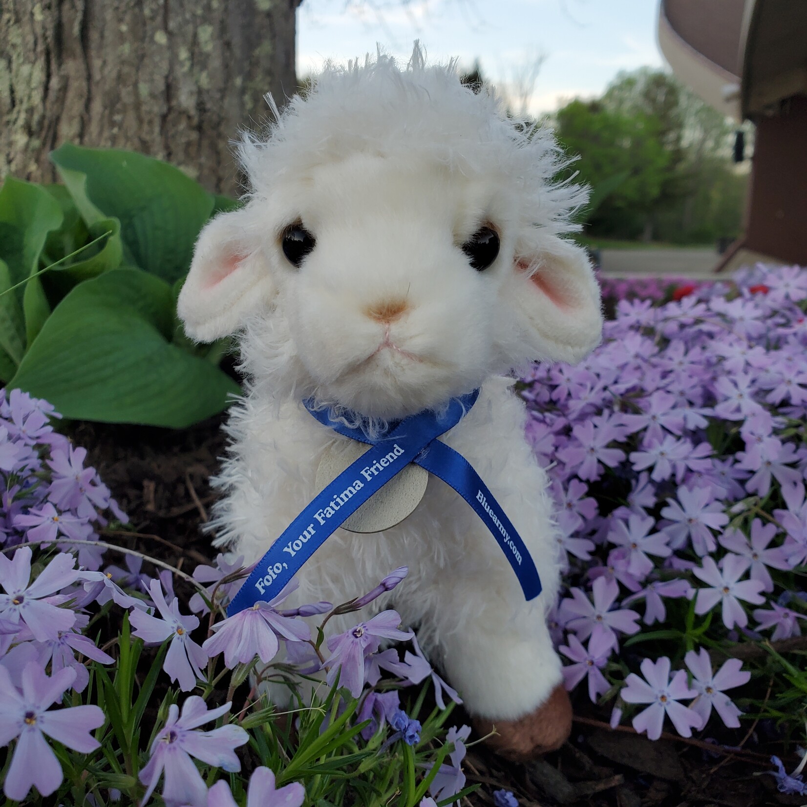 FoFoSet - Fatima Friends Adventure Companion Set