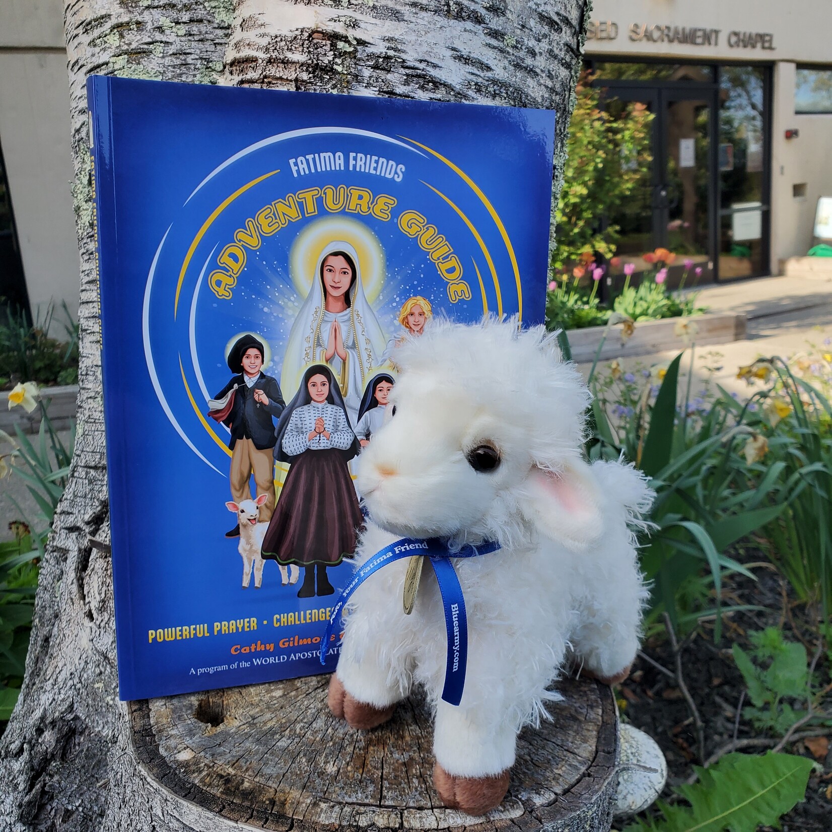 FoFoSet - Fatima Friends Adventure Companion Set