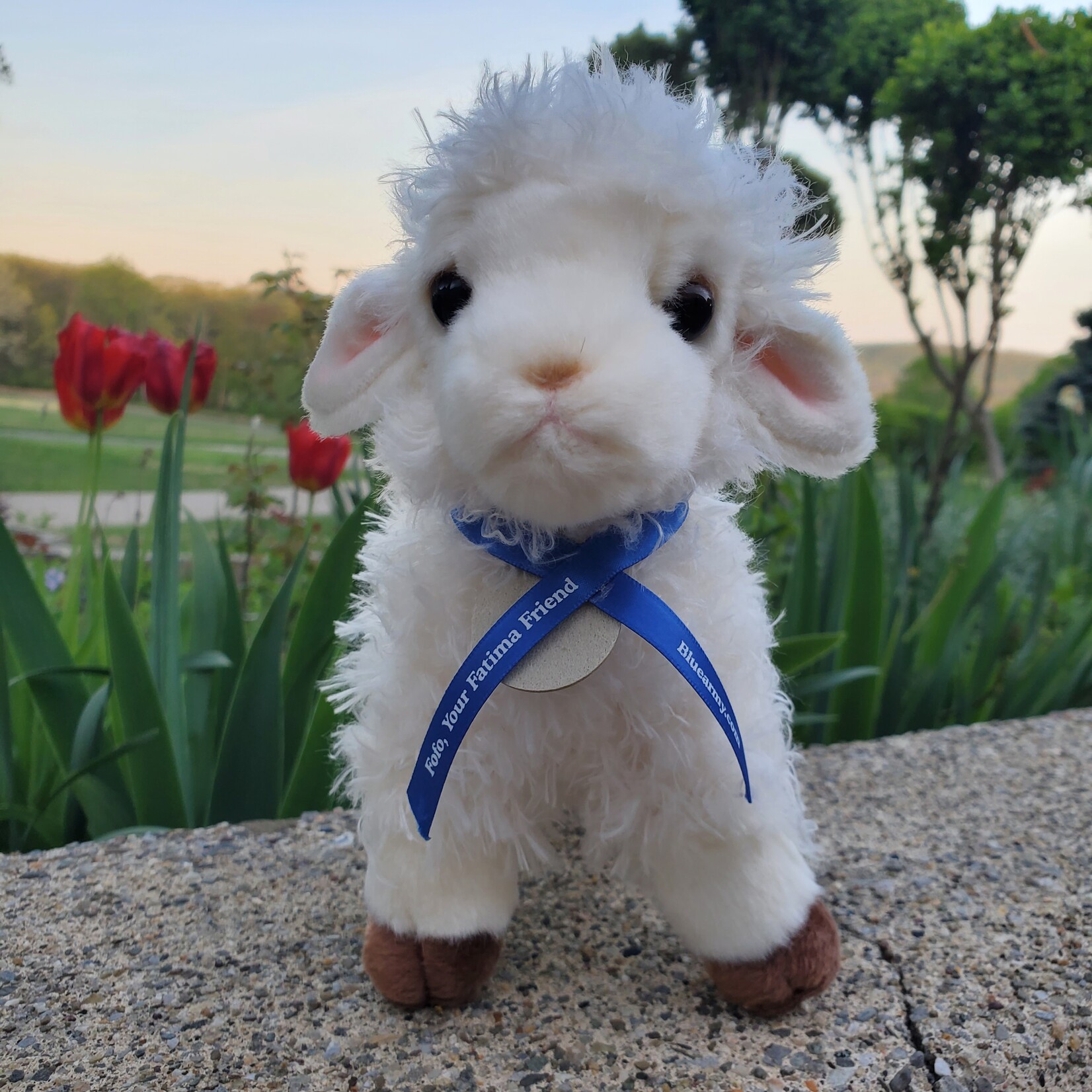 FoFoSet - Fatima Friends Adventure Companion Set