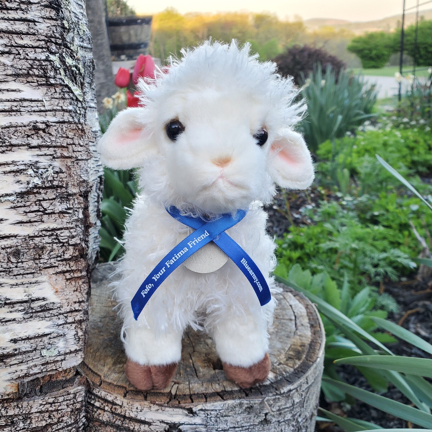 FoFoSet - Fatima Friends Adventure Companion Set