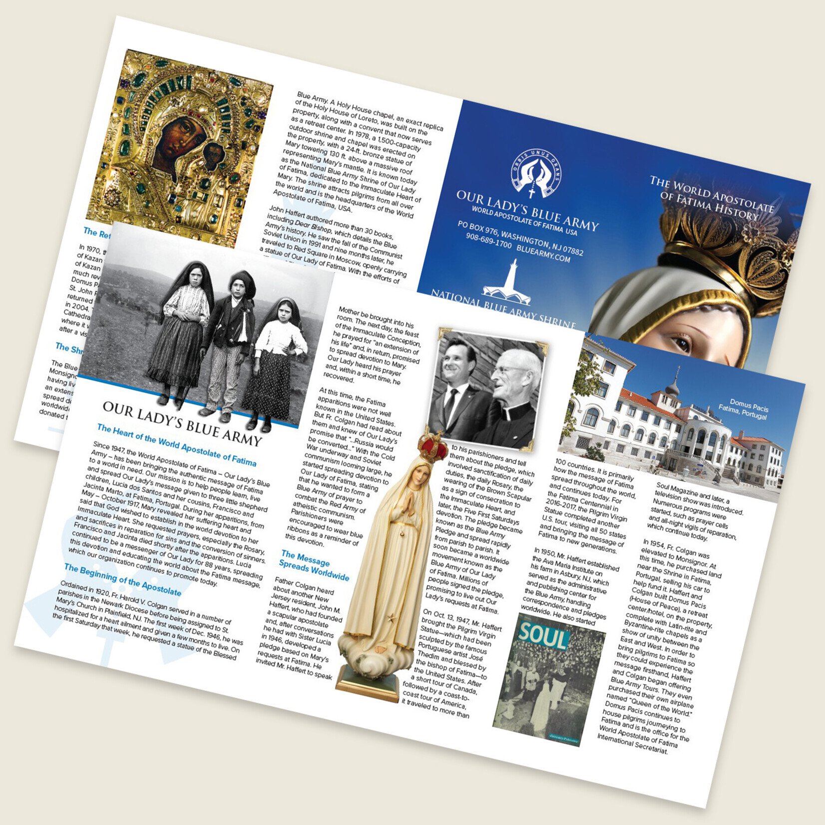 Blue Army History Brochure