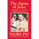 163- The Agony of Jesus