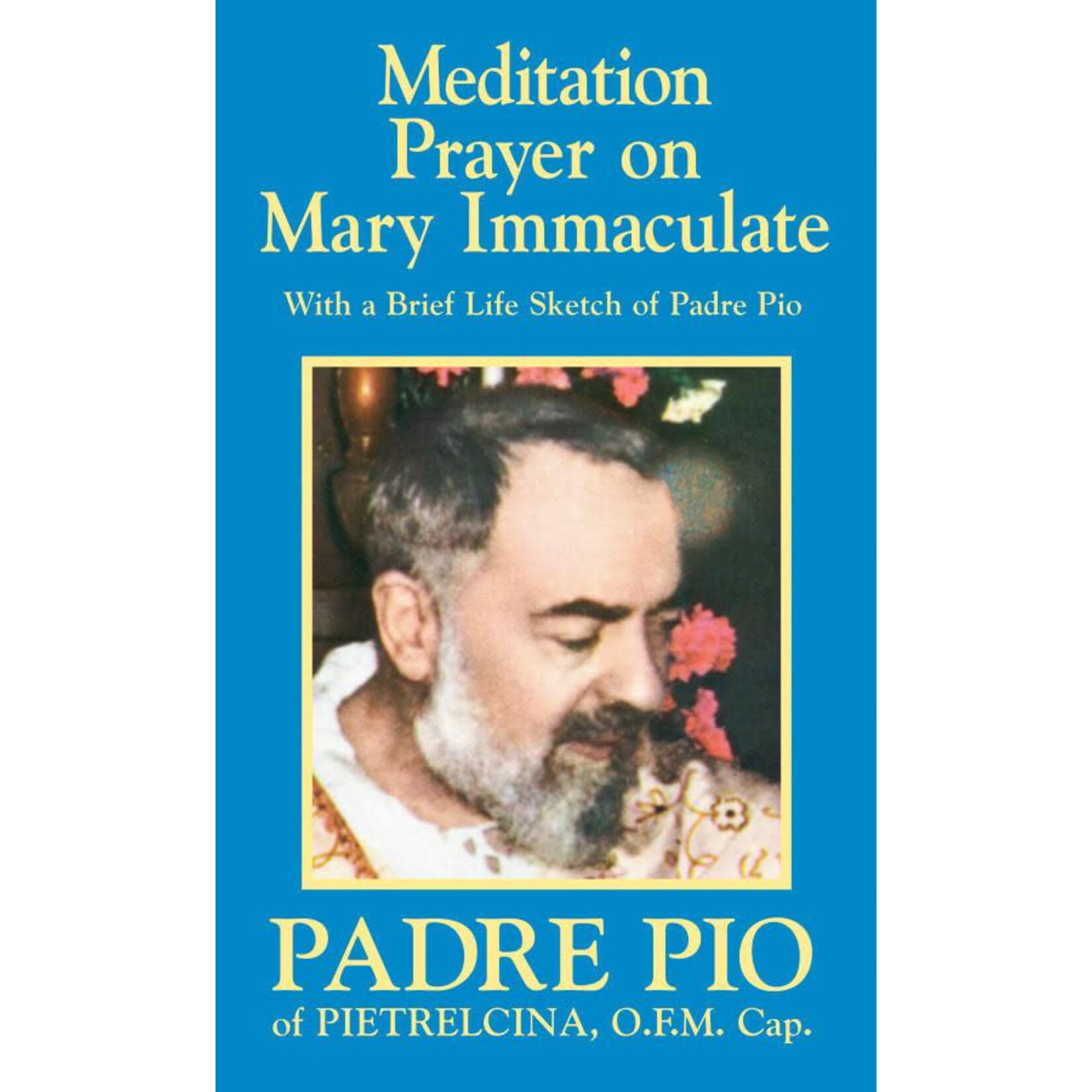 Meditation Prayer on Mary Immaculate , by: St. Padre Pio