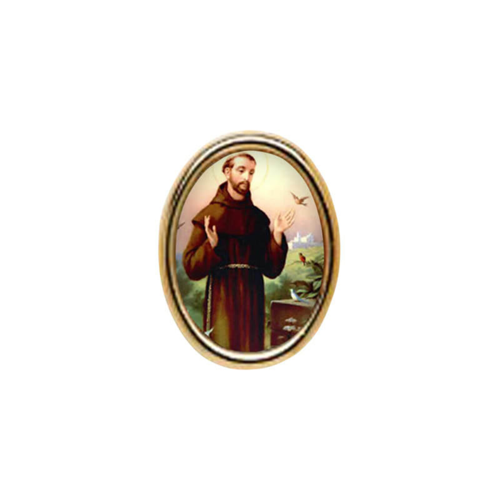 32-3041-11 - ST FRANCIS LAPEL PIN