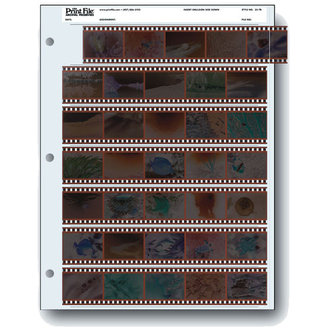 Print File Print File Archival Preservers 35mm Negative Preservers {25 Count) Print File Print File Archival Preservers 35mm Negative Preservers {25 Count)