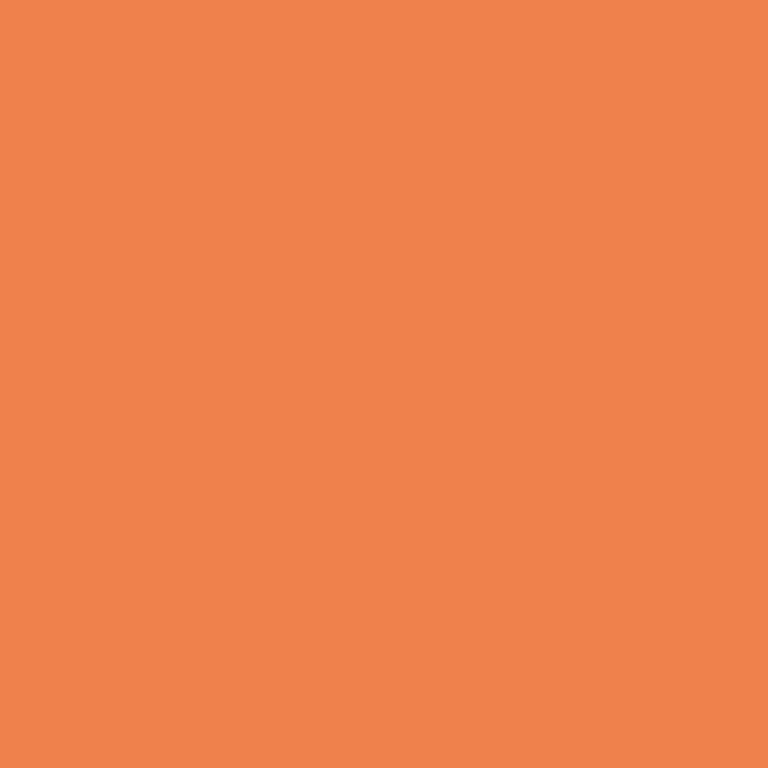 Savage Savage - 53” x 36’ - Orange (#24)  - Seamless Background Paper