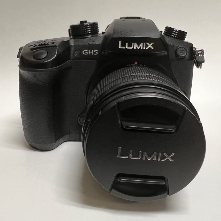 Panasonic USED Panasonic Lumix DC-GH5 Mirrorless Micro Four Thirds Digital Camera w/ 12-60 3.5-5.6 Lens