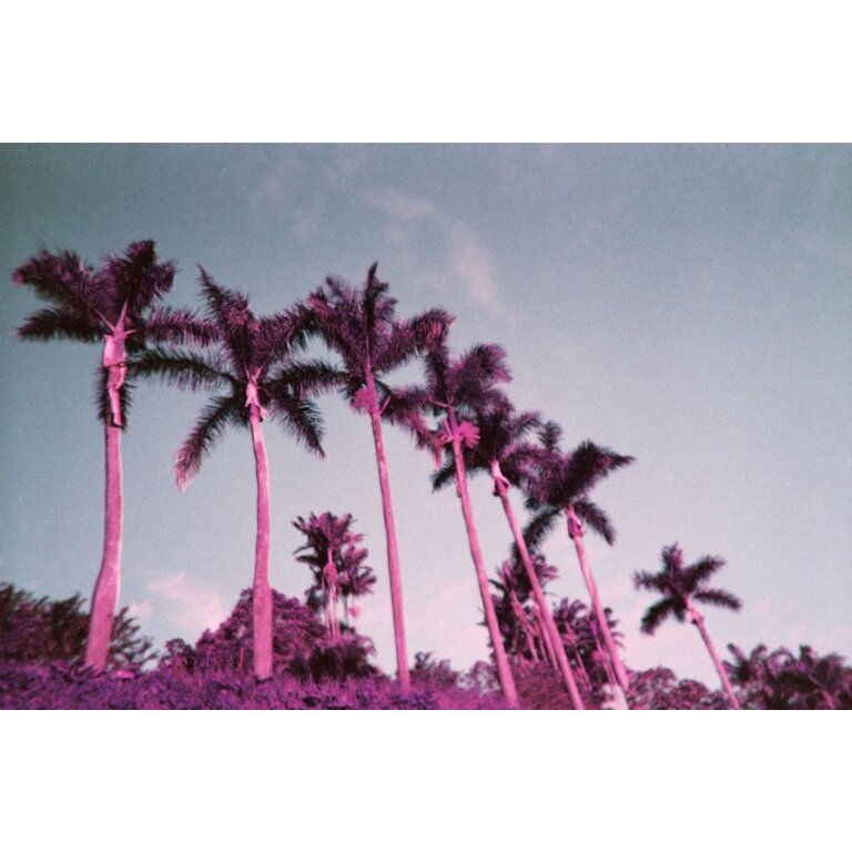 Lomography Lomography - Lomochrome Purple - Simple Use Film Camera With Underwater Case (27 Exposures)