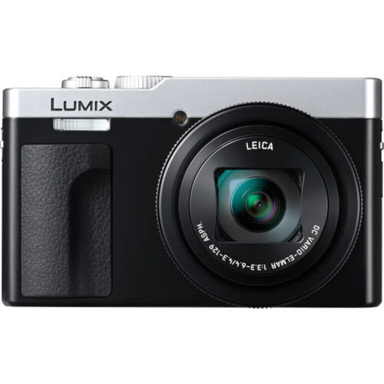 Panasonic Panasonic ZS99 Digital Camera (Silver)