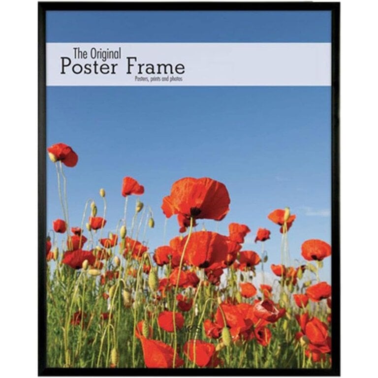 MCS MCS 20X30  Original Poster (Masonite Back)