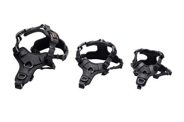 Smelly Dog Comfort No-Pull Harness Black