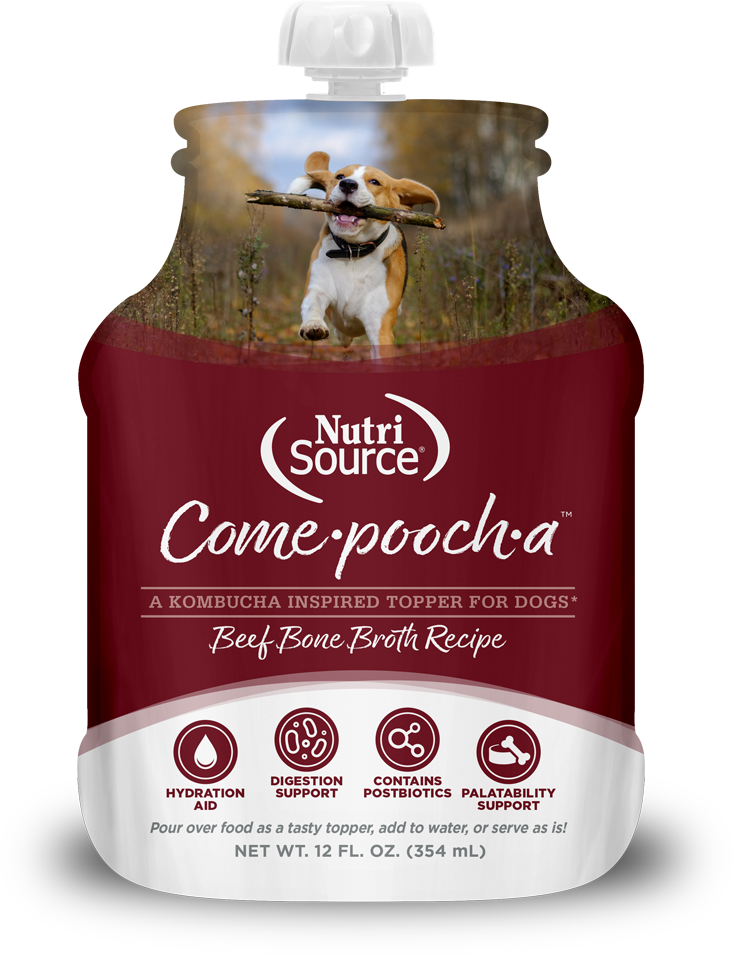 Dog Come-Pooch-A-Beef Bone Broth