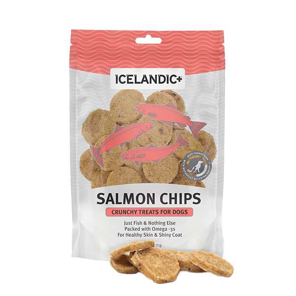 Dog Salmon Fish Chips Treat 2.5 oz
