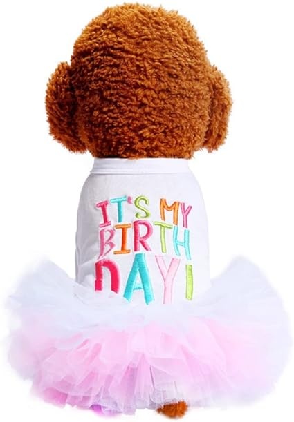 Happy Birthday Dress