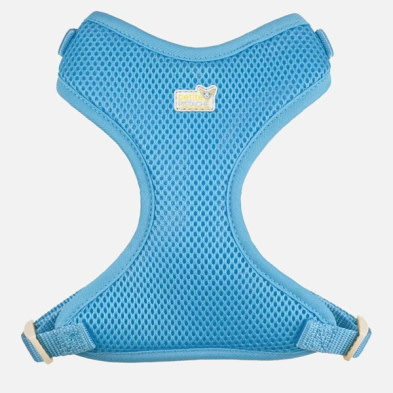 Petite PPF6A342 Harness Mesh Light Blue XS