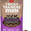 Tricky Trainers Mini Liver