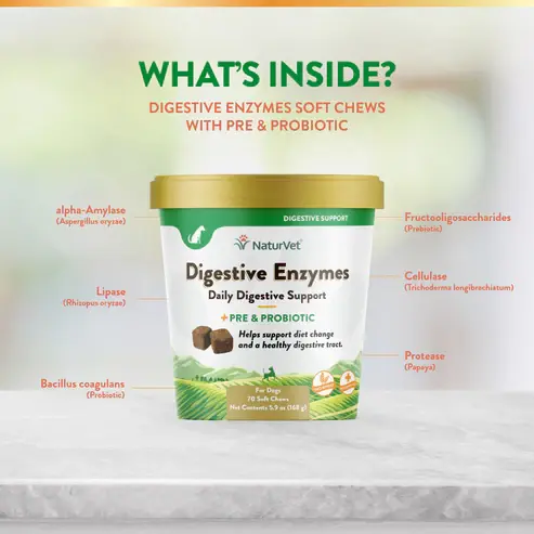 Soft Chew Digestive Enzymes & Probiotic 120CT