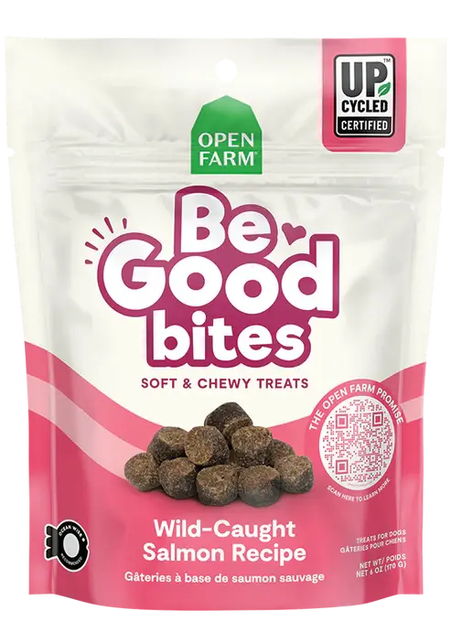 Dog Treats Be Good Bites Wild-Caught Salmon 6 oz