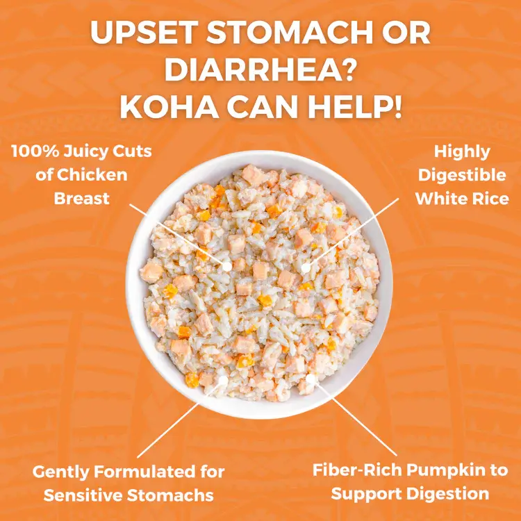 Bland Diet Chicken and Rice