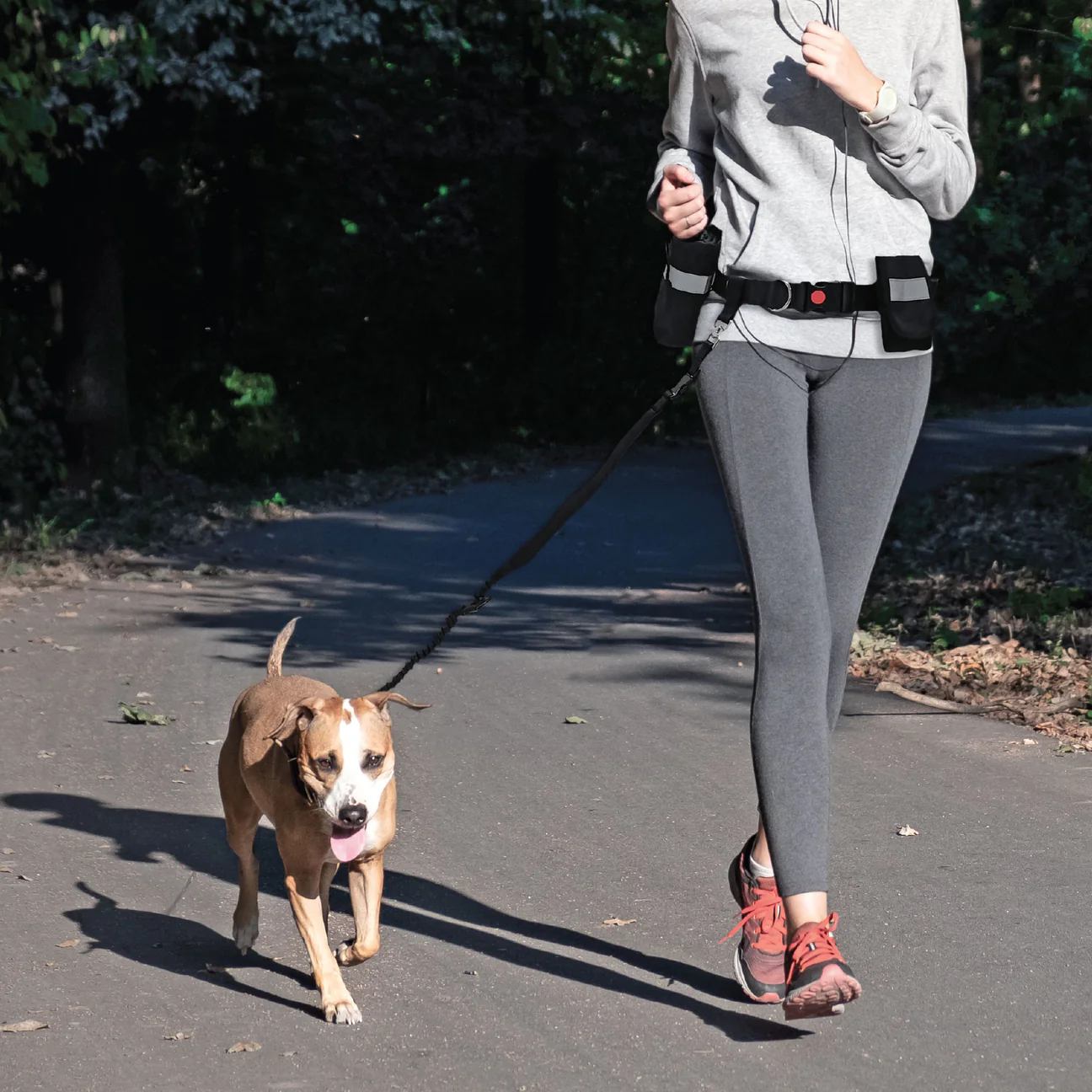 Waist Bungee Leash Black/Grey