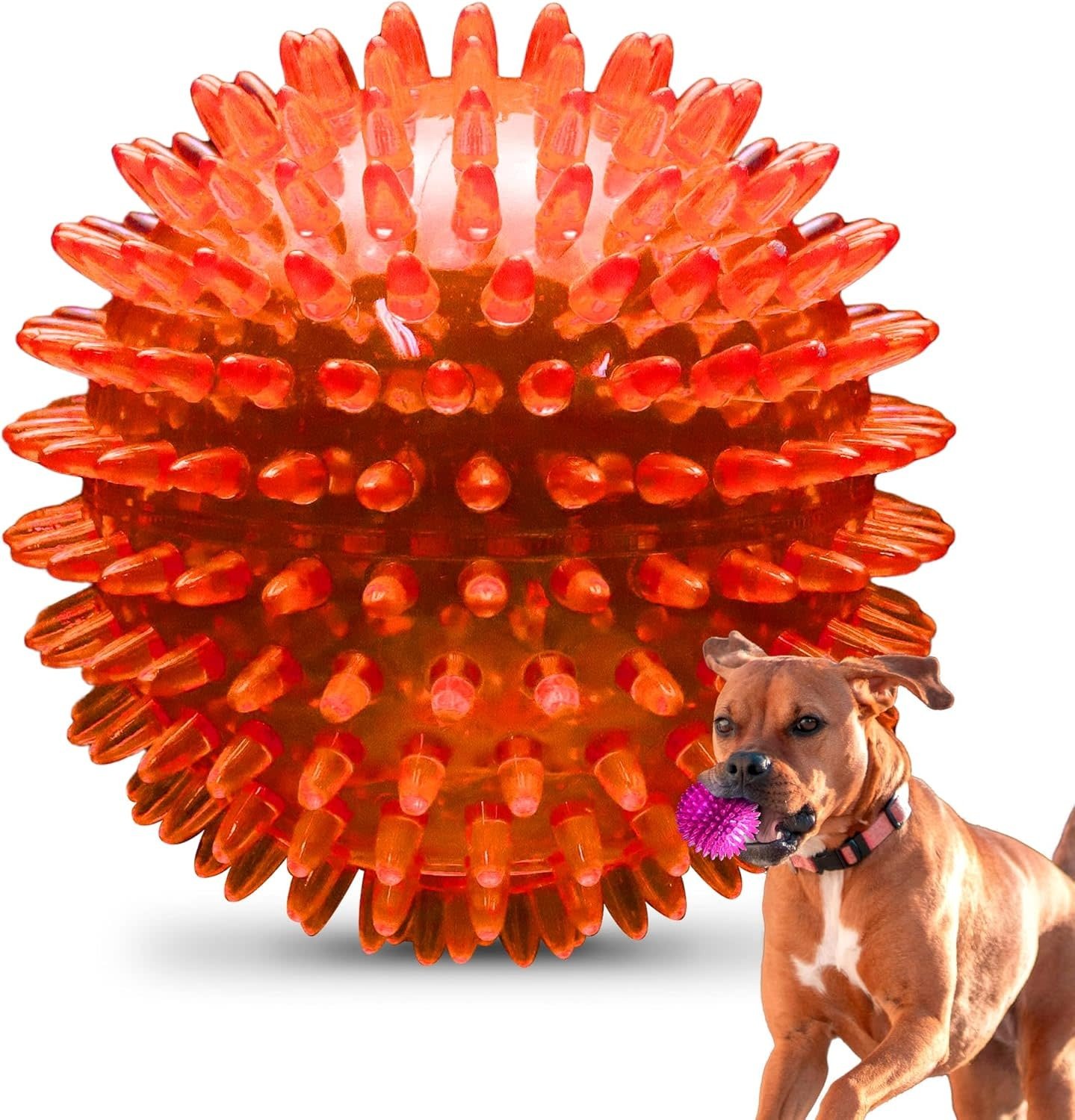 PetSport Gorilla Ball XLarge/Giant 5" | Float/Squeak