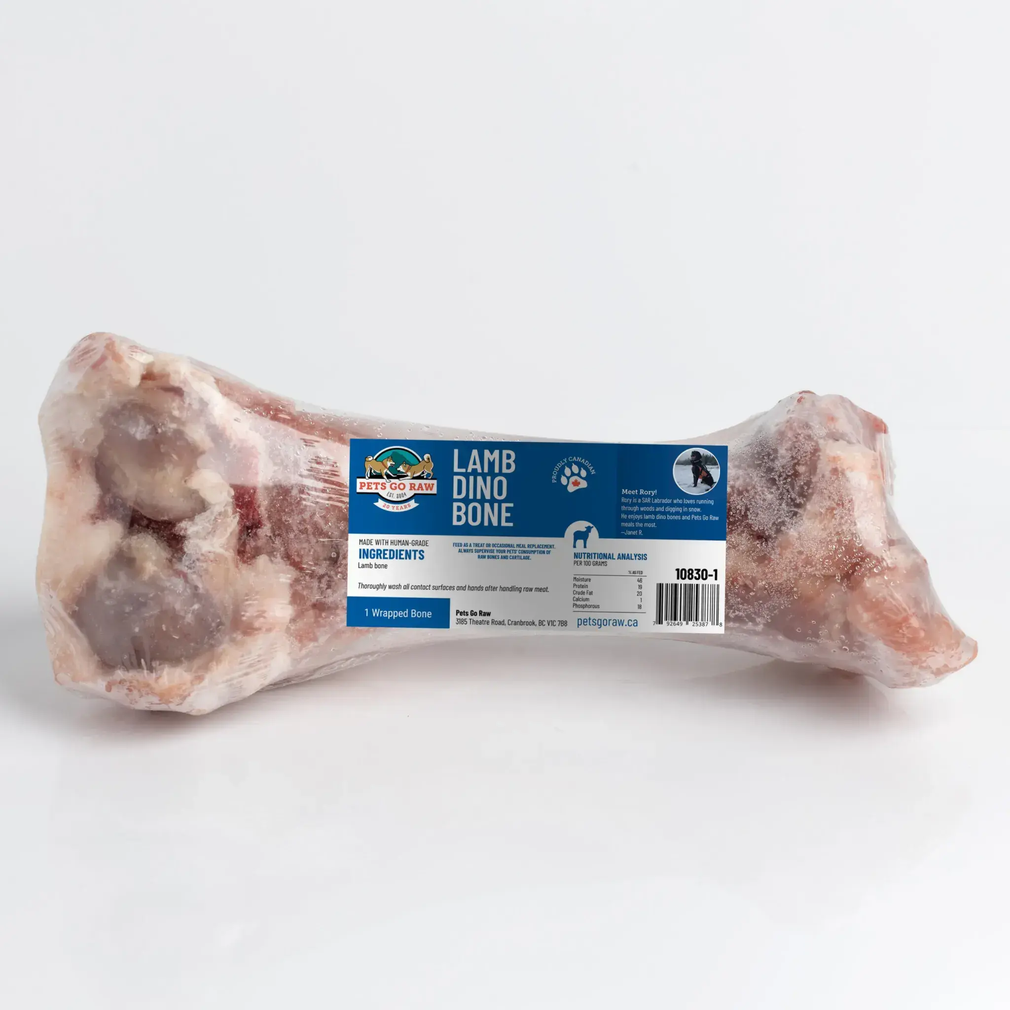 Dino Lamb Bones