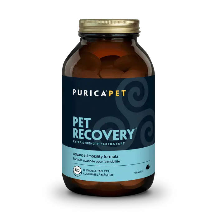 Purica Pet Recovery Extra Strength Chews 120PK