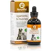 Ligaments & Muscles 100ML