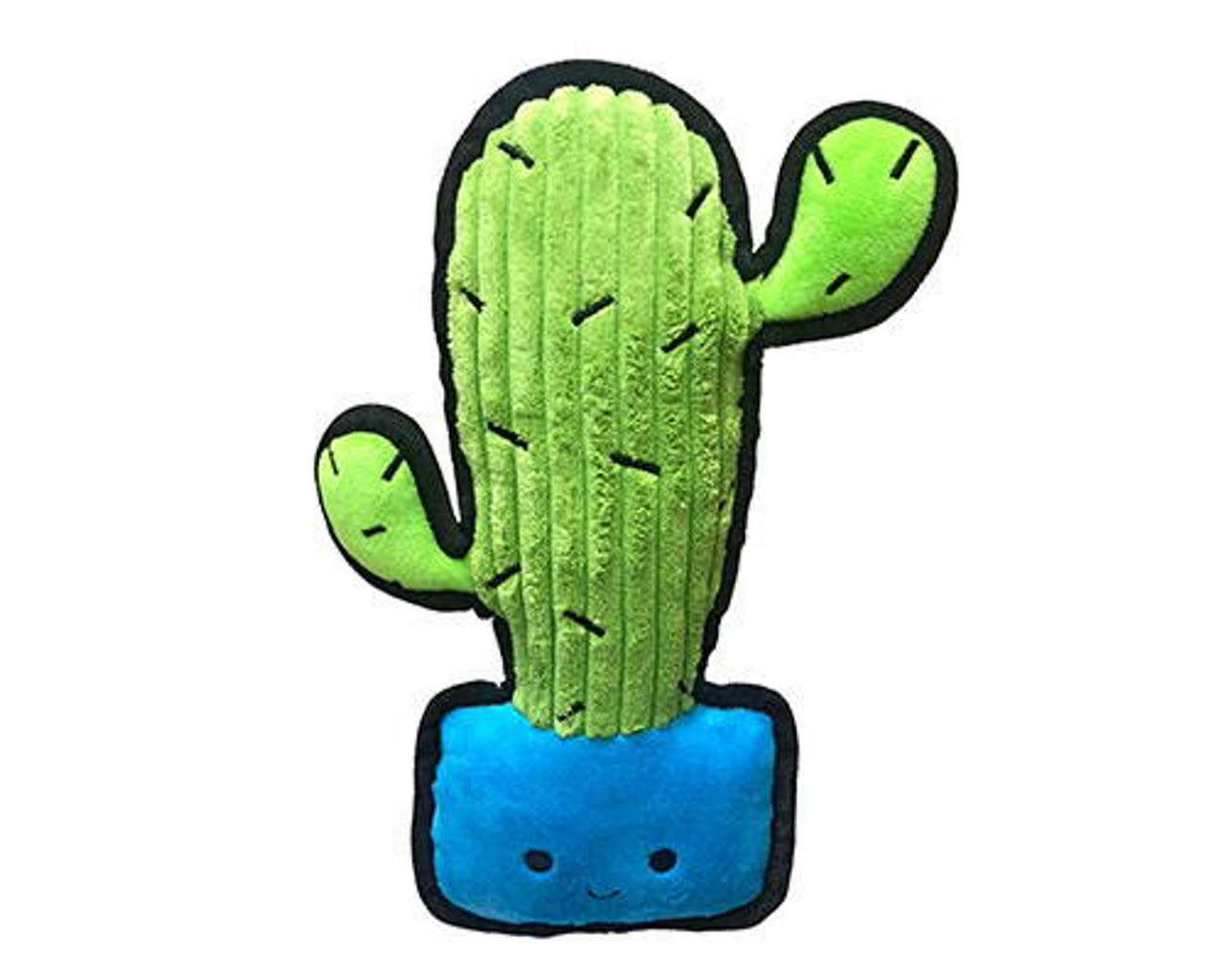 Happy Cactus