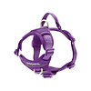 Momentum Harness