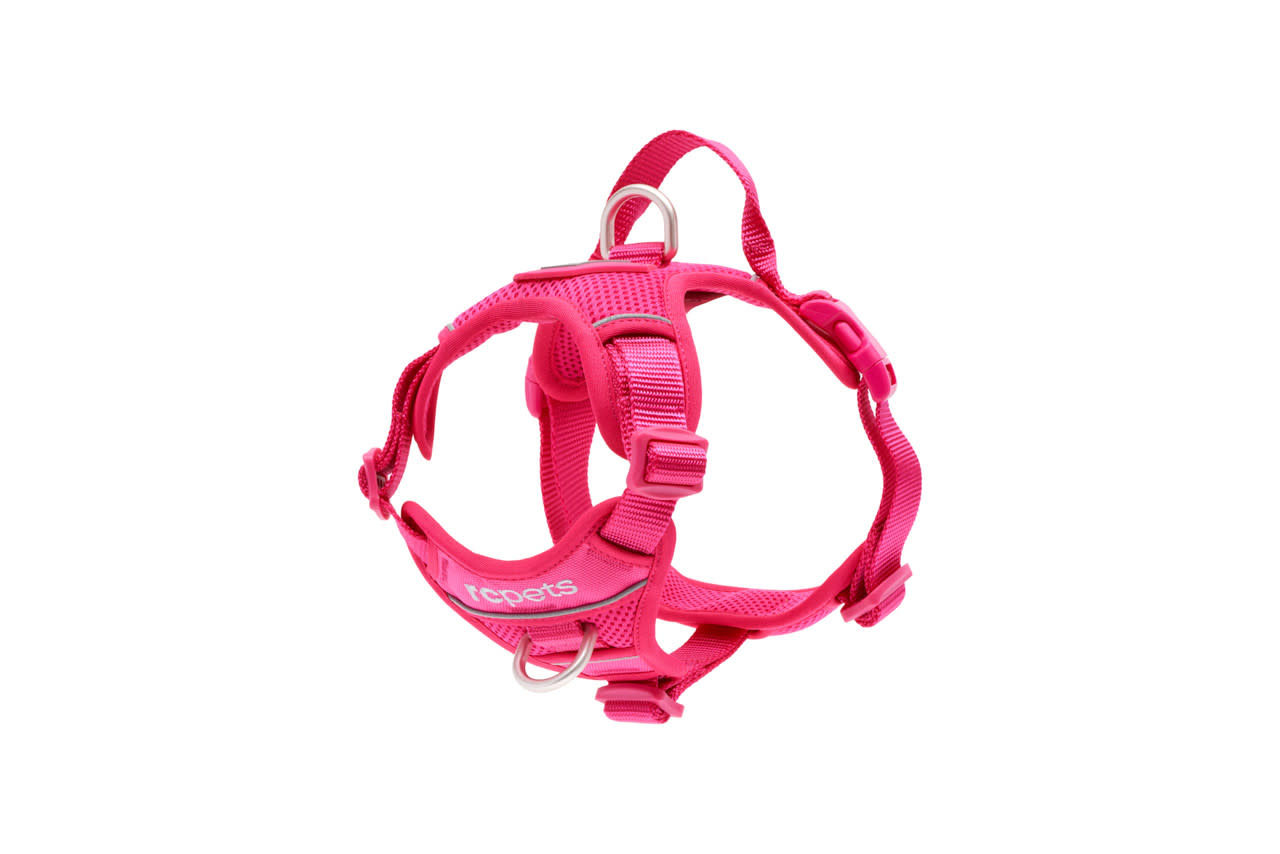 Momentum Harness