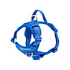 Momentum Harness