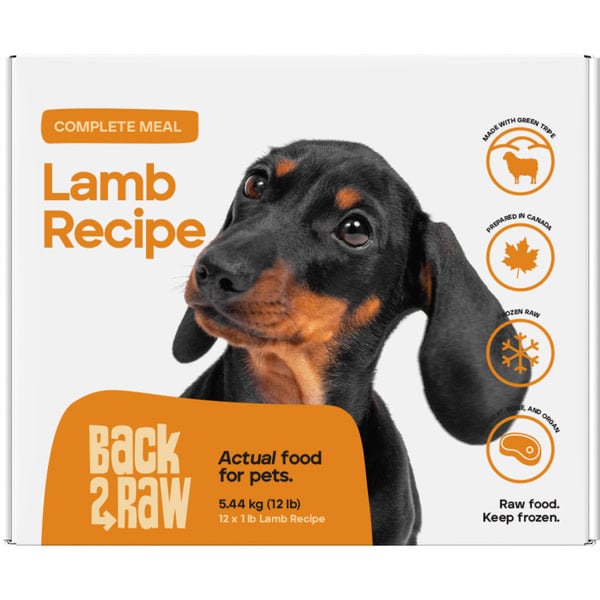 Back2Raw Dog Frozen Complete Lamb Recipe 12LB