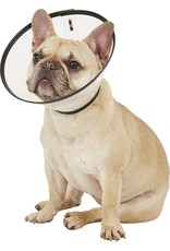 cardinal labs *DISC* Remedy Recovery collier S 5 3/4 - 9 1/2''