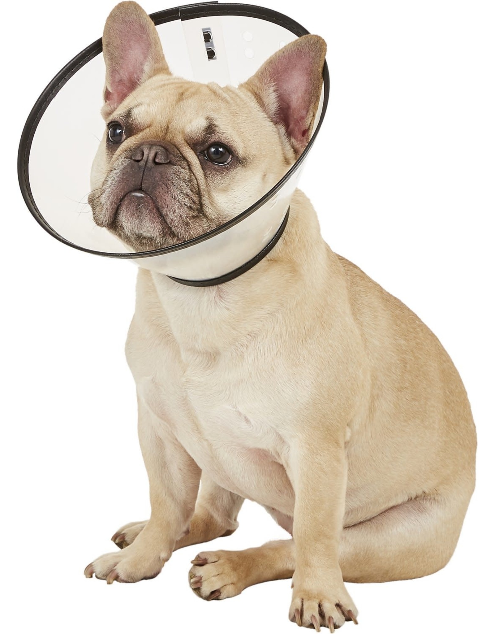 cardinal labs *DISC* Remedy Recovery collier M 7 1/4 - 12 1/4''